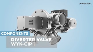 Coperion Diverter Valve WYK for Powder and Pellets Animation [upl. by Isidor]