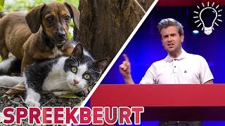 Honden zijn slimmer dan katten  Spreekbeurt Studio Snugger [upl. by Esorlatsyrc]