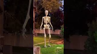 Halloween Decorating 2024 halloweendecoration halloweendecorations halloweendecor [upl. by Leia669]