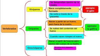 ESQUEMA DE LLAVES [upl. by Sinnard]