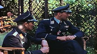 Ace German Air Force Stuka dive bomber pilot HansUlrich Rudel in a garden with AHD Stock Footage [upl. by Domonic564]