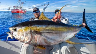 Giant Yellowfin Tuna Under Shrimp Boats Catch Clean amp Cook NLBN Lure Tuna Fishing [upl. by Ferguson]