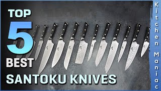 Top 5 Best Santoku Knives Review in 2023 [upl. by Cleres226]