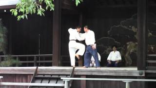 Tenjin shinyo ryu Yasukuni jinja septembre 2013 天神真楊流 [upl. by Enreval]