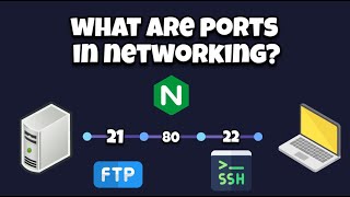 Basics of Port Addressing [upl. by Asiaj]