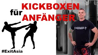 Kickboxen Anfänger Training 1 [upl. by Zins]