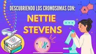 Descubriendo los Cromosomas con ¡NETTIE STEVENS proyecto 1 [upl. by Marcy62]