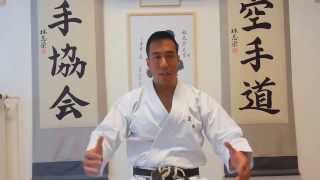 Ryan Hayashi  Karate Video Lesson 35  Why I Started Karate [upl. by Annodas610]