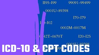 ICD 10 amp CPT Codes Basic Overview [upl. by Stanleigh91]