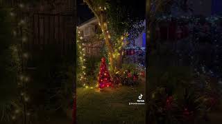 Our Christmas Decorations at Our Front Yard garden rosebudsavona house e [upl. by Coveney]