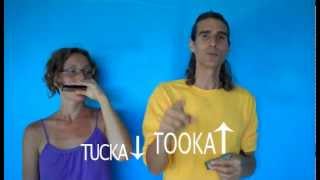 Harmonica Lesson For Beginners Rhythm Lesson [upl. by Scoville]