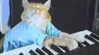 JUST DISCOVERED  Keyboard Cats RARE Alternate Take [upl. by How428]