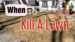 Why Killing A Lawn And Starting Over Makes More Sense [upl. by Argent]