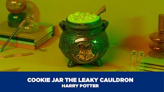 HARRY POTTER CAULDRON COOKIE JAR  Grupo Erik [upl. by Haroldson]