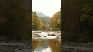 Autumn river sounds autumn river [upl. by Eila719]