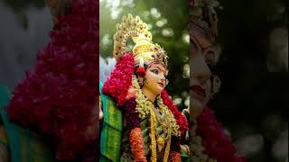 Bhakti whatsapp status 🙏🌺  Durga Maa 🌺🙏  shorts durga maa sherawali navratri2024 [upl. by Pate702]