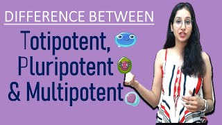 Difference Between Totipotent Pluripotent and Multipotent I NEET GATE CSIRNET IITJAM DBT ICAR ICMR [upl. by Ark358]