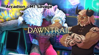 FFXIV AAC Lightheavyweight M1 Savage WAR POV [upl. by Nita]