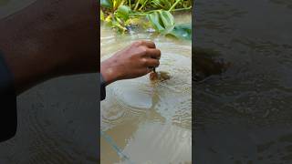 Unique Fishing hand Fishing Challenge Video 😲fishingshortsviralshort [upl. by Tolmann]