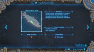 BotW Stealthfin Trout Location [upl. by Annaek158]