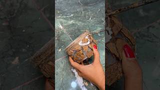 Beautiful Flower Vase Craft using Coconut Shells short reel youtubeshort diy viral trending [upl. by Roseanna]