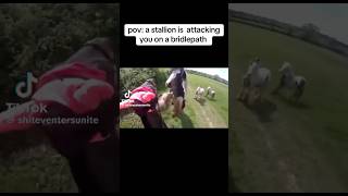 stallion attacking mare on a hack 😱🐴 equestrain shortvideos youtube viral [upl. by Oman681]