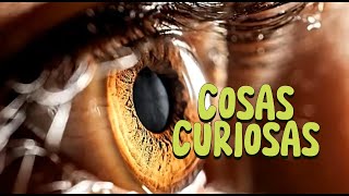 18 Cosas Tan Curiosas que No Vas a Creer que Existen [upl. by Nosirrag]