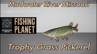 Fishing Planet Trophy Grass Pickerel Mudwater River Missouri [upl. by Melloney]