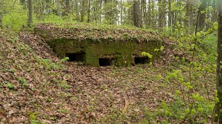 Narėpų miško bunkeriai [upl. by Hearsh]