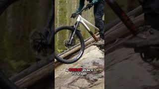 Perfect Beginners Bike Marin San Quentin [upl. by Halland754]