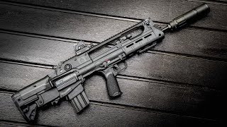 Springfield Armory Hellion  1 Year Review [upl. by Lily]