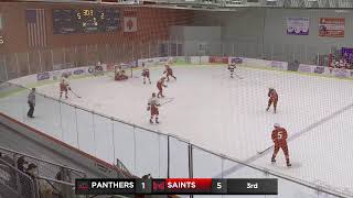 Drury Panthers vs Maryville Saints  Mens DIII Hockey [upl. by Leitnahs]