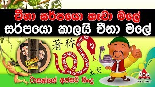 චීනා සර්පයො කෑවා මලේ  සර්පයො කාලයි චීනා මලේ  Lowin Kadellata With Tarzan amp Mazon [upl. by Lasser]