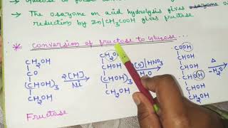 Conversion of fructose to glucose [upl. by Cyndie]