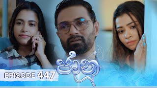 Jaanu  Episode 447  20241111  ITN [upl. by Ynnub]