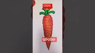 different kinds of vegetables name in odia panipariba nama odia vegitables name in odia [upl. by Tdnerb]