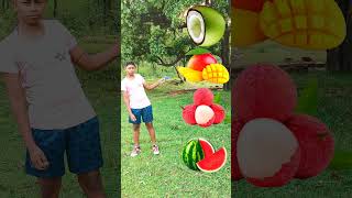 Rounding Cut Green coconut to Grapes Mango lichi amp Watermelon  Fruits names magic video [upl. by Jackie]