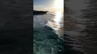 Beautiful sea scene l soothing sea waves l sea shorts viralvideo 🌲🌱🥀 [upl. by Borman]