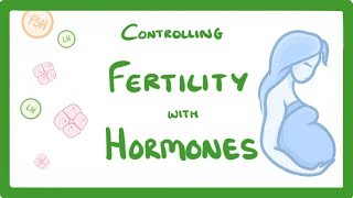 GCSE Biology  What is IVF How Does IVF Work and What Are The Risks IVF Explained 62 [upl. by Drofla]