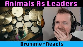 Drummer reacts to ANIMALS AS LEADERS Monomyth [upl. by Yrroc]