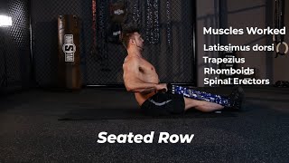 Seated Row  Innstar Resistance Band Strength Workout Guide [upl. by Aicener635]