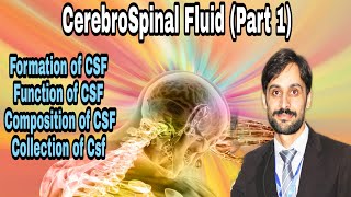 Cerebrospinal fluid  Part1 FormationFunctionComposition amp Collection [upl. by Sassan]