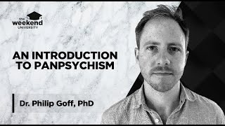 Panpsychism Is Everything Conscious  Dr Philip Goff PhD [upl. by Pauiie]