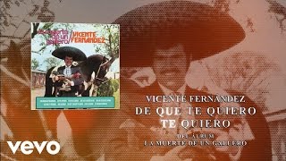 Vicente Fernández  De Que Te Quiero Te Quiero Cover Audio [upl. by Keller]