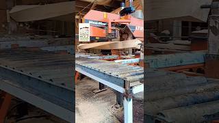 Wood for home depot lumber lumberjack woodmizer logosol norwood youtubeshorts video ytshorts [upl. by Aiam475]