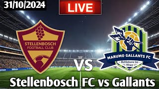 Stellenbosch Fc Vs Marumo Gallants Live football Match Today [upl. by Anais214]