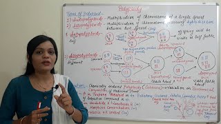 Class 32  Polyploidy Part 02  Types amp Application of Polyploidy  Reference to Medicinal Plant [upl. by Hales]