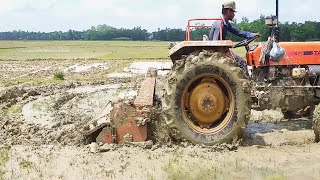 tafe 45di 4wd oranje plowning by vlado josevski farming  of anthropology videos [upl. by Philo773]