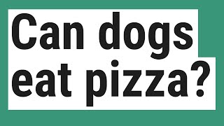 Can dogs eat pizza [upl. by Bedelia209]