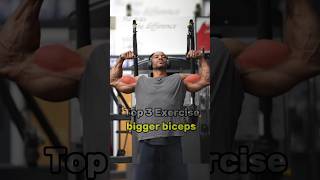 Bigger Biceps Workout  3 Effective Exercises [upl. by Anirav]